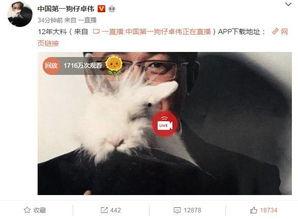 天真爆料视频大全在线观看,视频大全在线观看精彩瞬间  第2张